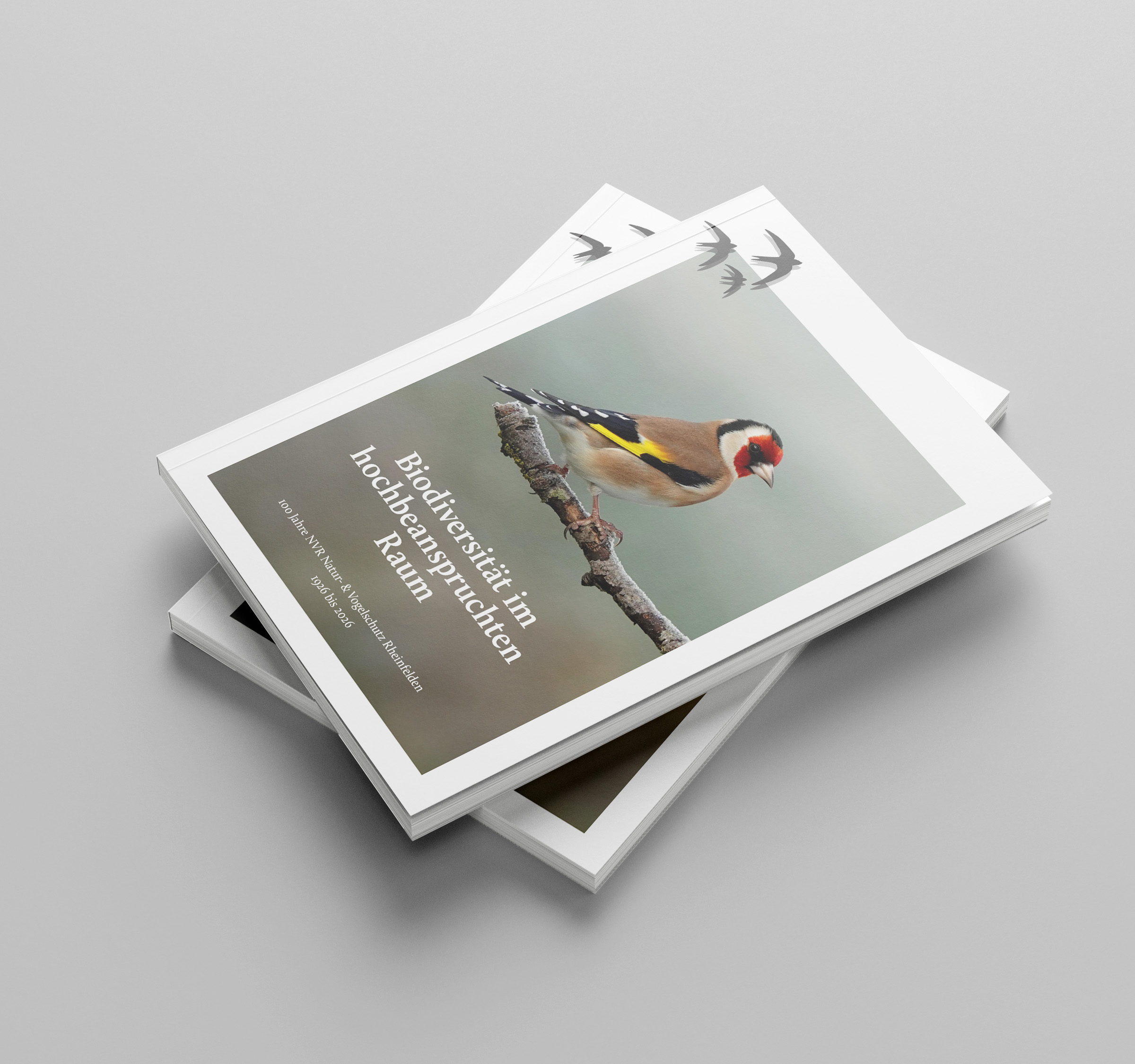 Buch zum 100-jährigne Jubiläum des NVR