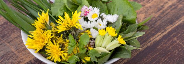 essbare Wildkräuter