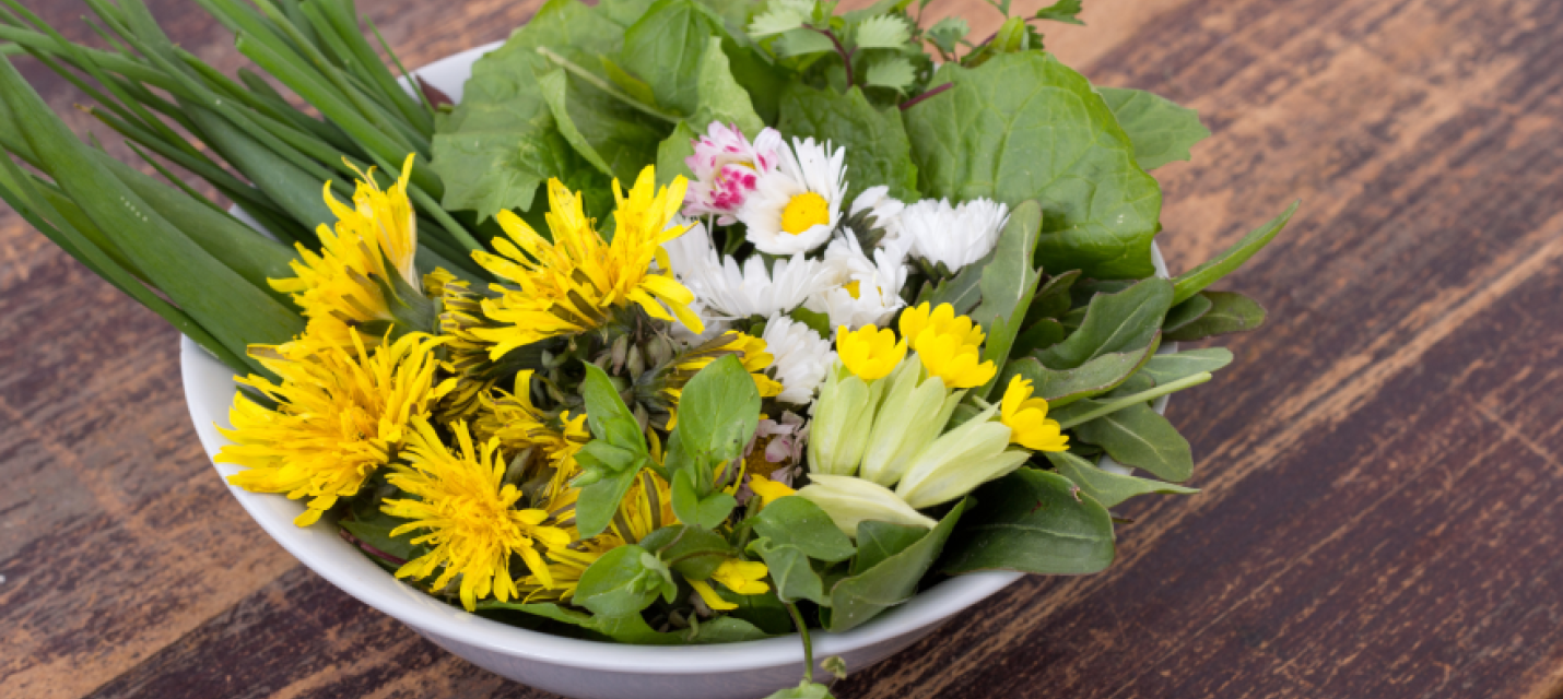 essbare Wildkräuter